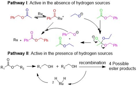 Research At Oist Ester Metathesis And Transfer Hydrogenation Of