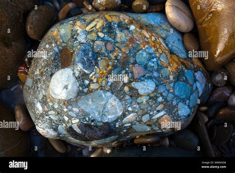 Tsapi hi-res stock photography and images - Alamy
