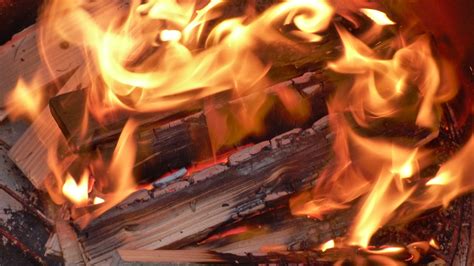 Free Images Wood Flame Fire Campfire Bonfire Burn Hot