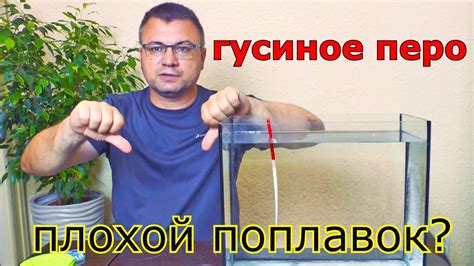 Поплавок гусиное перо, так ли он хорош? Поплавок из гусиного пера. Как ...