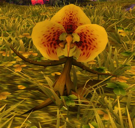 Wild Bloom Warcraft Wiki Your Wiki Guide To The World Of Warcraft