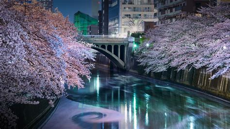 artwork, fantasy art, Chinese architecture, mountains, cherry blossom ...