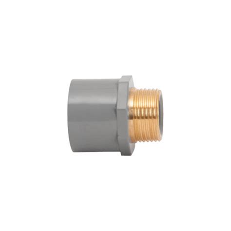 Buildmart Neproplast Cpvc Male Adaptor Brass Insert