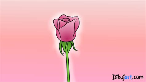 C Mo Dibujar Una Rosa Dibujos De Rosas Rosadas Dibujart