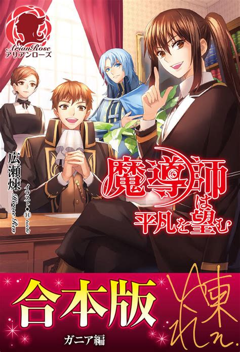 Cover for The magician desires mediocrity