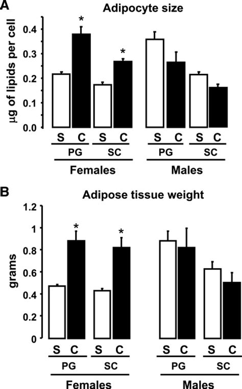 Sex And Depot Differences In Adipocyte Insulin Sensitivity And Glucose Metabolism Pmc