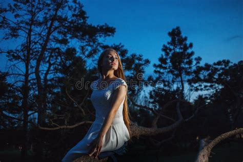Blonde Joven En El Bosque De La Noche Que Mira Alrededor Ansiosamente Foto De Archivo Imagen