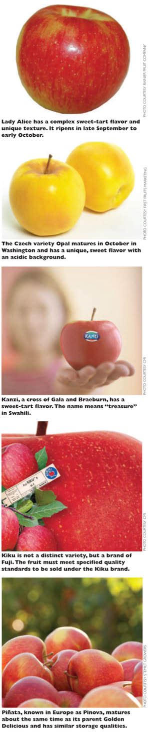 Marketers line up exclusive apples - Good Fruit Grower