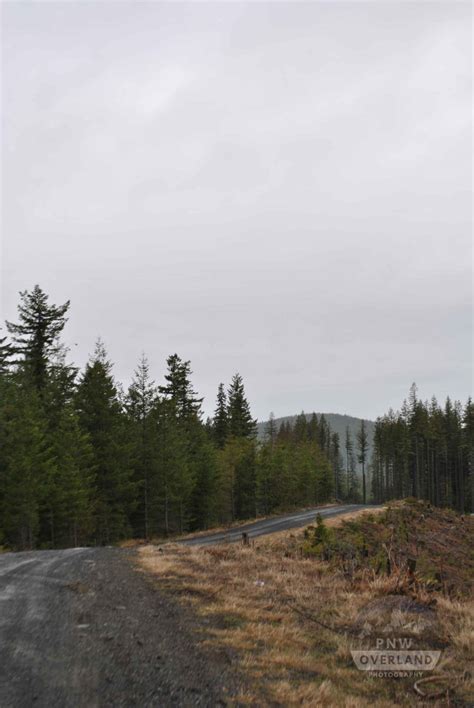 West Wynoochee Lake Trail Washington Off Road Trail Map And Photos