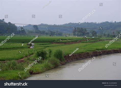 Pemandangan alam sungai: 28 bilder, stockfoton och vektorer | Shutterstock