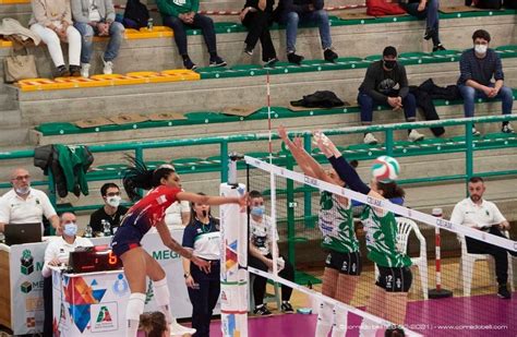 Volley A F Il Puma Prova A Tenere A Bada Le Tigri La Lpm Bam