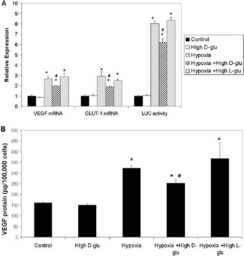 Figure From High Glucose Blunts Vascular Endothelial Growth Factor