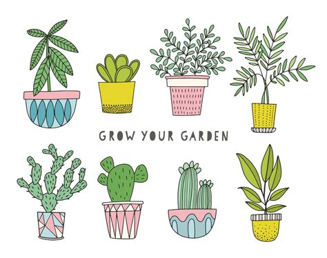 set  cute house plants  pots hand drawing colorful botanical set