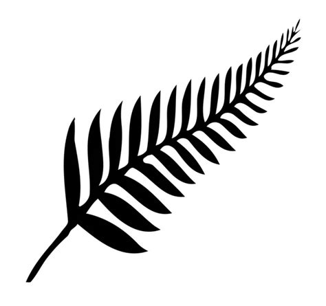 Fern Leaf Vector