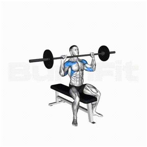 Seated Barbell Shoulder Press Smash Your Limit BurnFit