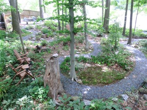 10 Best Images About Landscaping Wooded Areas On Pinterest