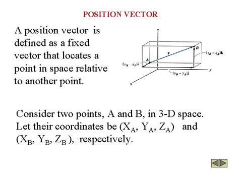position vector  position vector  defined