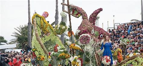 Per I Campioni Di Cipressa Il Corso Fiorito A Rischio La Stampa