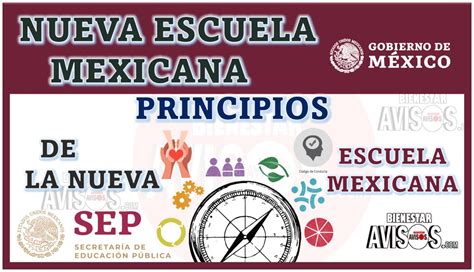 Principios De La Nueva Escuela Mexicana Noviembre Avisos