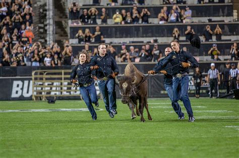 TCU Horned Frogs Football Tickets and Game Day Guide 40