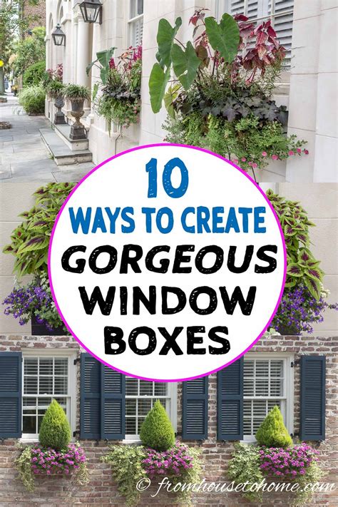 Beautiful Window Boxes for Full Sun and Shade Flowers