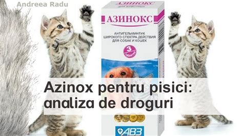 Azinox pentru pisici: analiza de droguri - YouTube