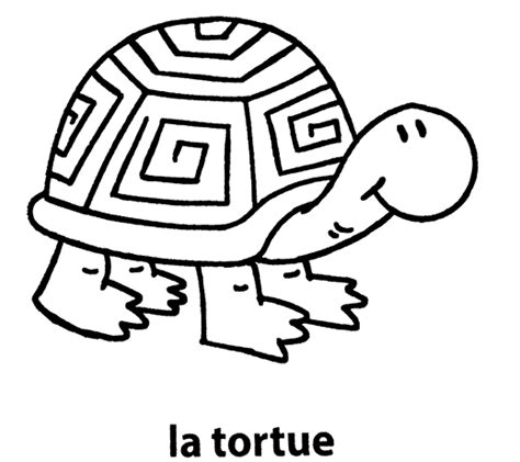 Mon Premier Imagier La Tortue Colorier