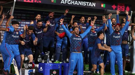 Icc World Cup 2023 Afghanistan Beat Pakistan By Eight Wickets