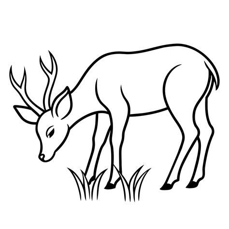 deer line images 4