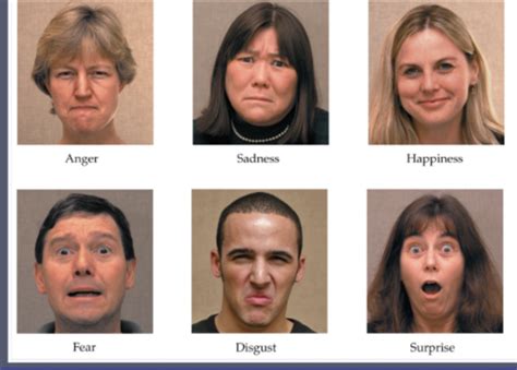 lecture  flashcards quizlet