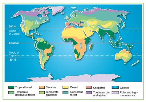 Biomes Map of Global Vegetation