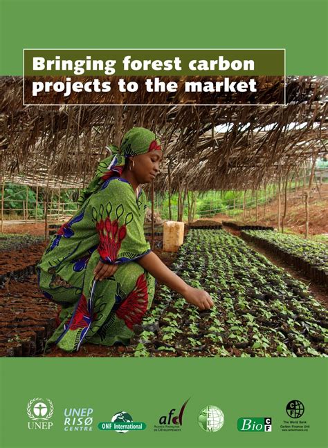 Bringing forest carbon projects to the market