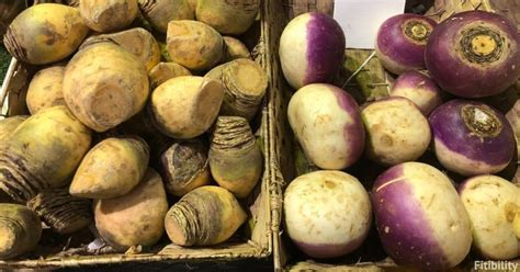 Difference Between A Turnip And A Rutabaga You Must Know Fitibility