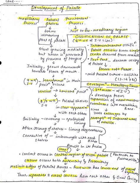 dwvlopment  palate dentistry student dentistry soft palate