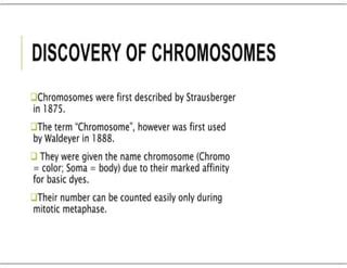 Chromosomes Sex Determination Pdf
