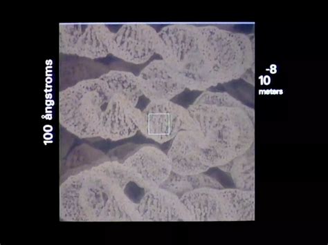 Dna and chromosome structure | PDF