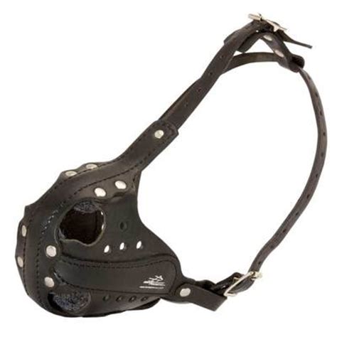 leather belgian malinois muzzle  agitation training  military service  leather