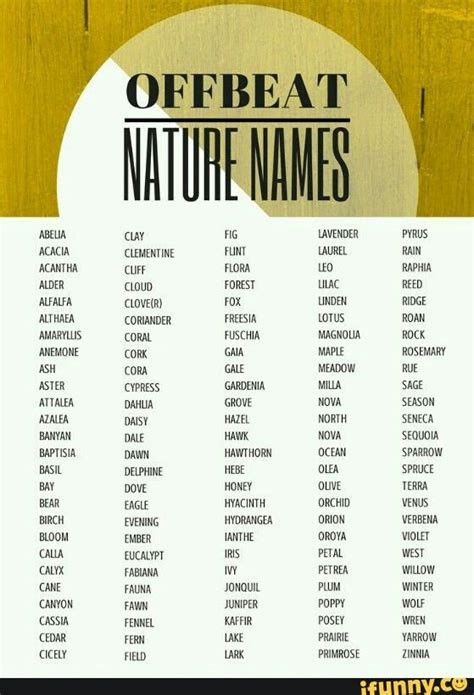 Cute Nature Inspired Names Writing Tips Nature Names Names