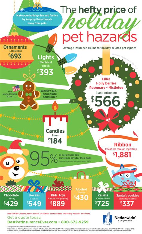 Dogs honey safety warnings are vital for every pet owner 22