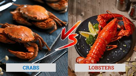 Crabs Vs Lobsters Whats The Difference 🦀 🦞 Youtube