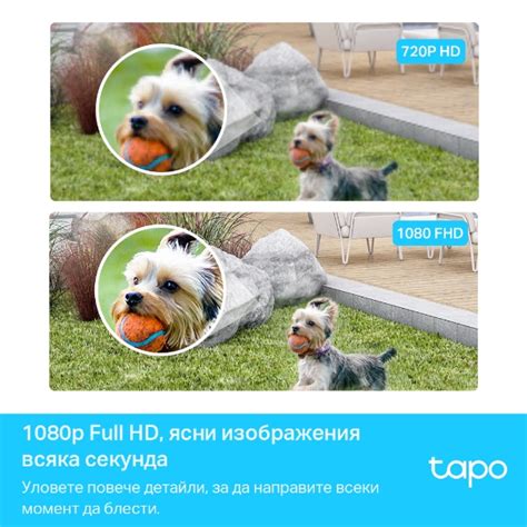 Tapo C400S2 | Интелигентна безжична система от охранителни камери ...