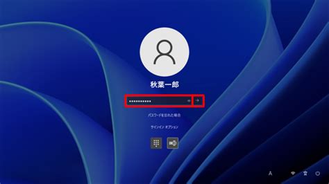 windows pin qa