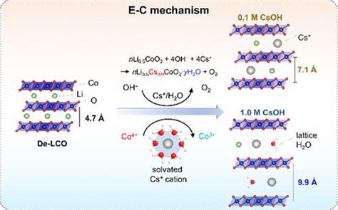 了解层状 LixCoO2 析氧催化剂的 pH 依赖性催化活性 ACS Materials Letters X MOL