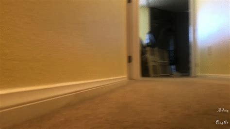 Giant Adam Cum Ass Doms Shrunken Man Adam Castle Xxx Clips Clips Sale