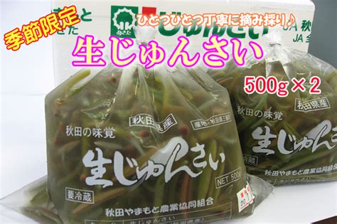 季節限定！ぷるぷる食感の秋田県産「生じゅんさい」を JAタウンのショップ「おらほの逸品館」で販売中！～サラダや麺類のトッピングにもおすすめ ...