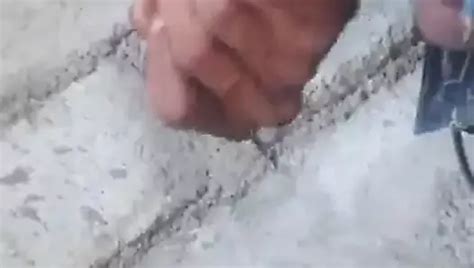 Shashi Gay Porn Creator Videos Free Amateur Nudes Xhamster