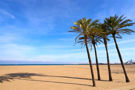 Playa De La Malvarrosa En Valencia Opini N Consejos Gu A Y M S