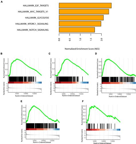 Frontiers Identification Of Novel Metabolism Associated Subtypes For Pancreatic Cancer To