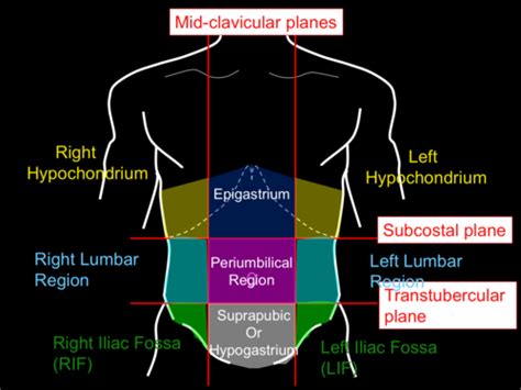 Abdominal Pain Flashcards Quizlet