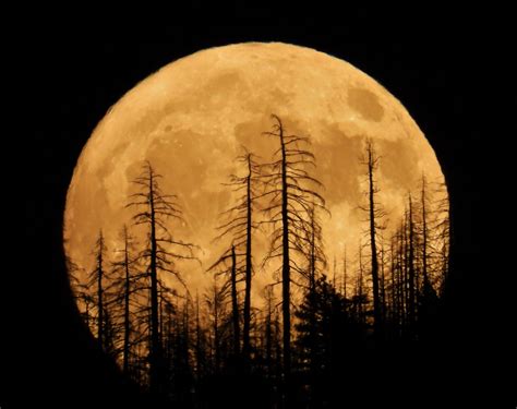 Moon rising over Lake Almanor - Plumas News